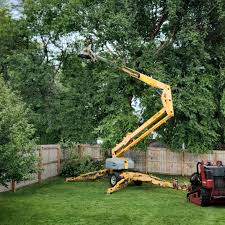 Best Tree Disease Treatment  in Waldo, FL